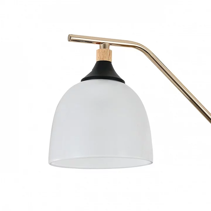 Подвесная люстра Escada Actinidia 2123/3P 5_ESC_2123_3P.webp big