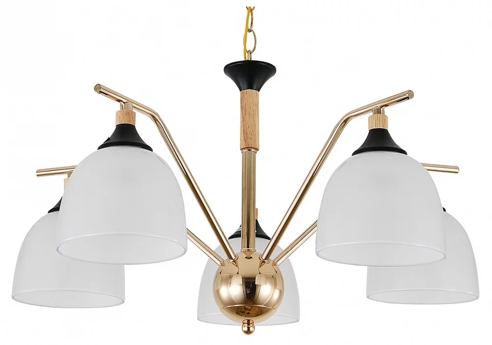 Подвесная люстра Escada Actinidia 2123/5P 0_ESC_2123_5P.webp big