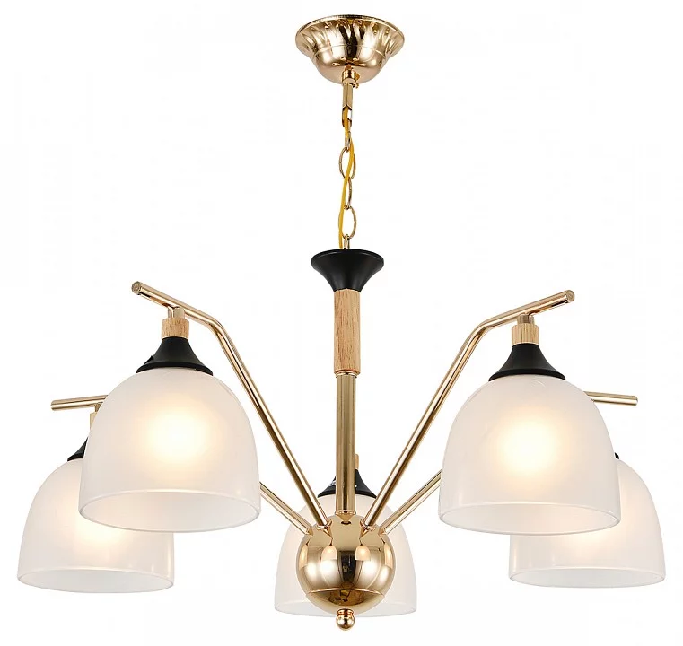 Подвесная люстра Escada Actinidia 2123/5P 1_ESC_2123_5P.webp big