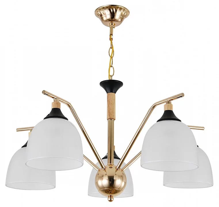 Подвесная люстра Escada Actinidia 2123/5P 2_ESC_2123_5P.webp big