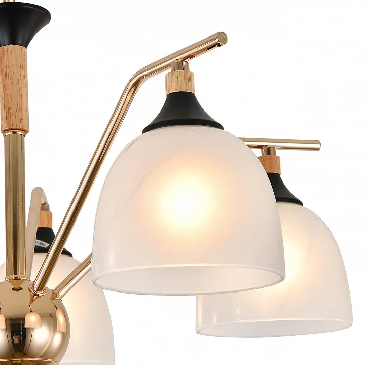 Подвесная люстра Escada Actinidia 2123/5P 4_ESC_2123_5P.webp big