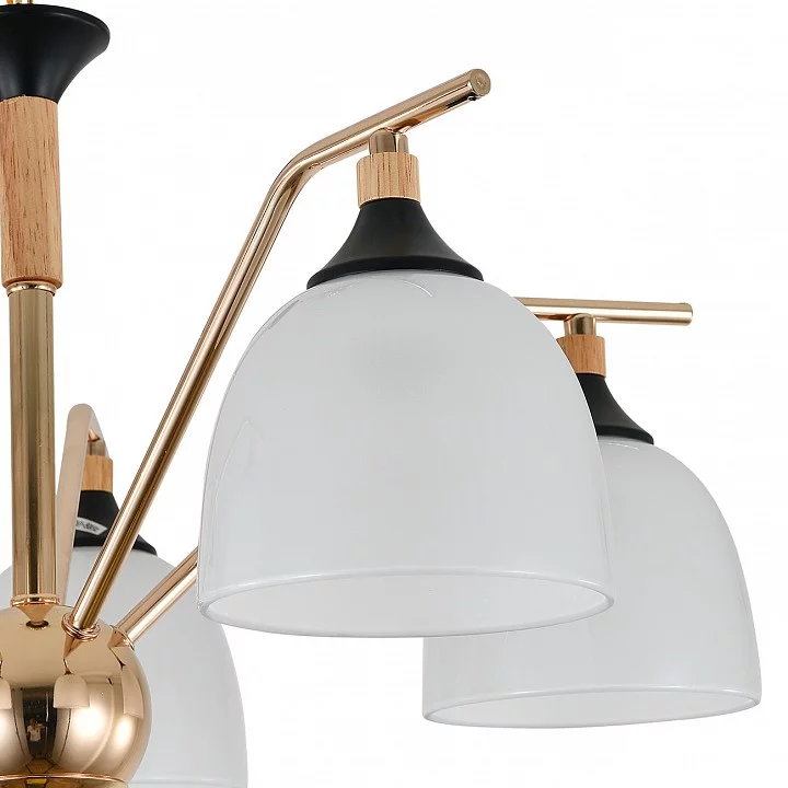 Подвесная люстра Escada Actinidia 2123/5P 5_ESC_2123_5P.webp big