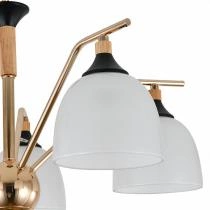 Подвесная люстра Escada Actinidia 2123/5P 5_ESC_2123_5P.webp small