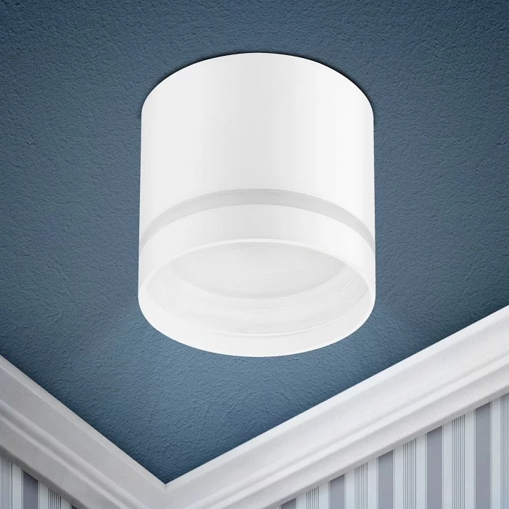 Накладной светильник Эра OL9 GX53 WH/WH Б0048541 2_ER_B0048541.webp big