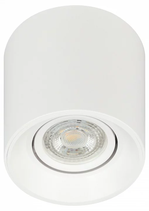 Накладной светильник Эра OL25-1 WH Б0054383 0_ER_B0054383.webp big