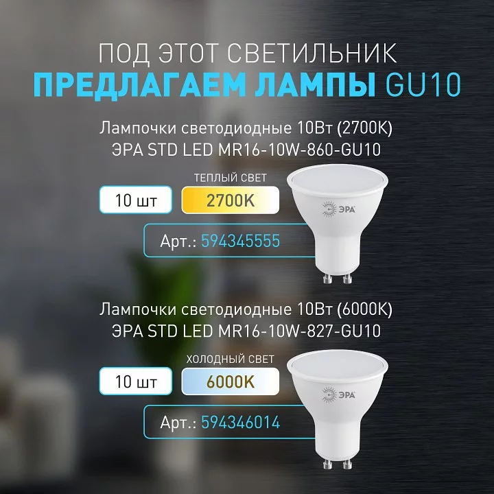 Светильник на штанге Эра WL37 GR Б0054409 3_ER_B0054409.webp big
