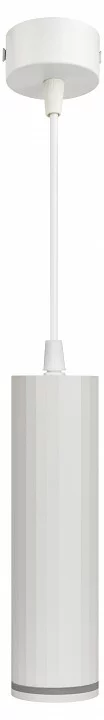 Подвесной светильник Эра PL19 WH Б0058491 2_ER_B0058491.webp big