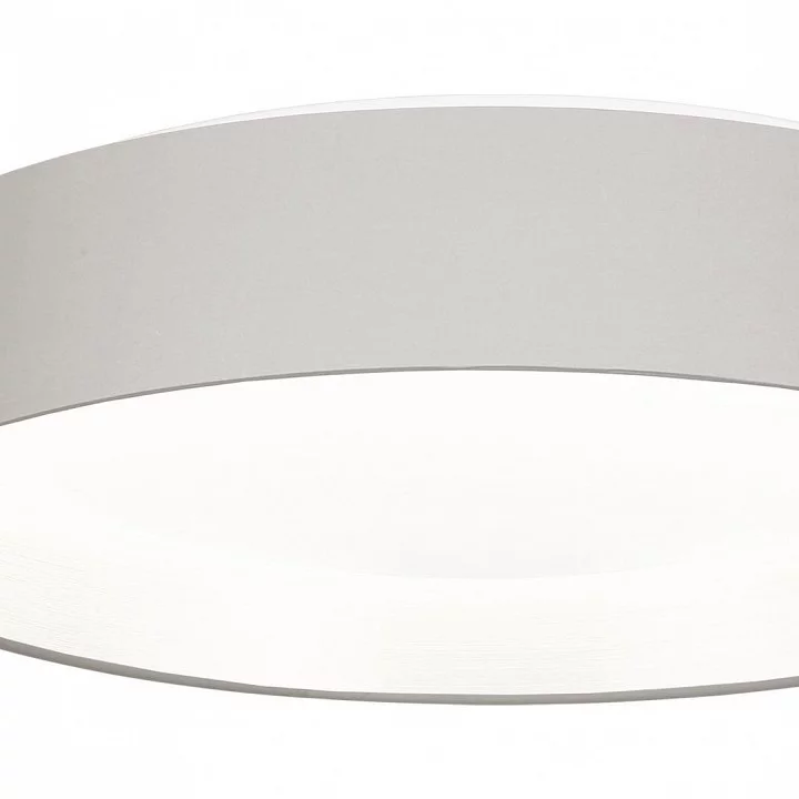 Накладной светильник EVOLUCE Brescia SLE300512-01 3_EVO_SLE300512-01.webp big