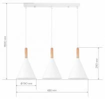 Подвесной светильник EVOLUCE Arket SLE1255-503-03 4_EVO_SLE1255-503-03.webp small