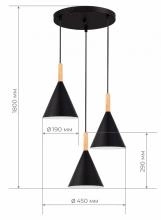 Подвесной светильник EVOLUCE Arket SLE1255-423-03 3_EVO_SLE1255-423-03.webp small