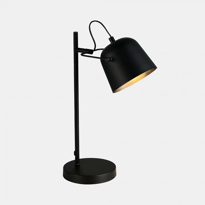 Настольная лампа офисная EVOLUCE Blank SLE1805-404-01 3_EVO_SLE1805-404-01.webp big