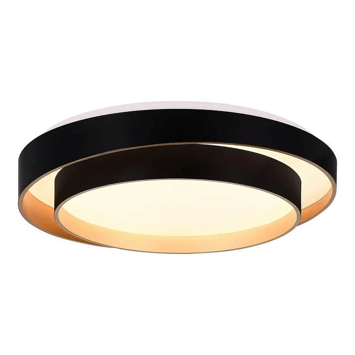 Накладной светильник EVOLUCE Crosby SLE6009-402-01 2_EVO_SLE6009-402-01.webp big