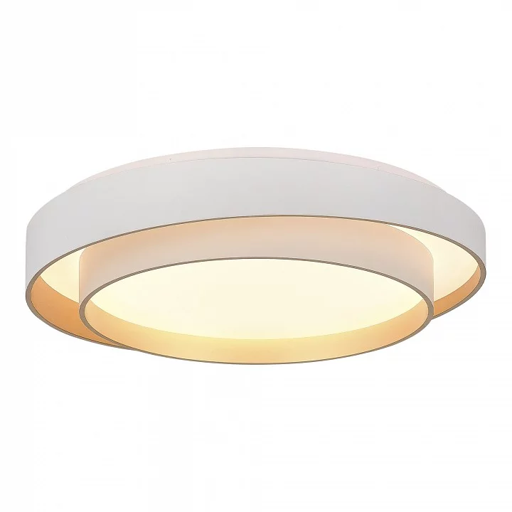 Накладной светильник EVOLUCE Crosby SLE6009-502-01 2_EVO_SLE6009-502-01.webp big