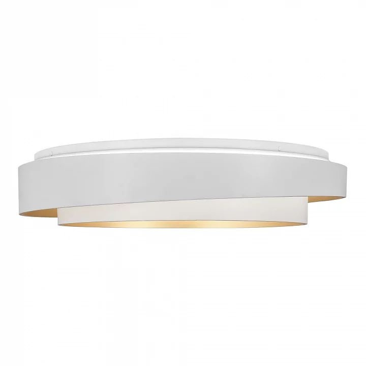 Накладной светильник EVOLUCE Crosby SLE6009-502-01 4_EVO_SLE6009-502-01.webp big