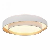 Накладной светильник EVOLUCE Crosby SLE6009-502-01 2_EVO_SLE6009-502-01.webp small