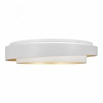 Накладной светильник EVOLUCE Crosby SLE6009-502-01 4_EVO_SLE6009-502-01.webp small