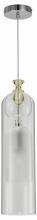 Подвесной светильник Indigo Pulsante 11050/1P Clear 1_INDG_V000518.webp small