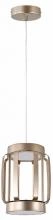 Подвесной светильник Indigo Capsula 14027/2P Gold 1_INDG_V000154L.webp small