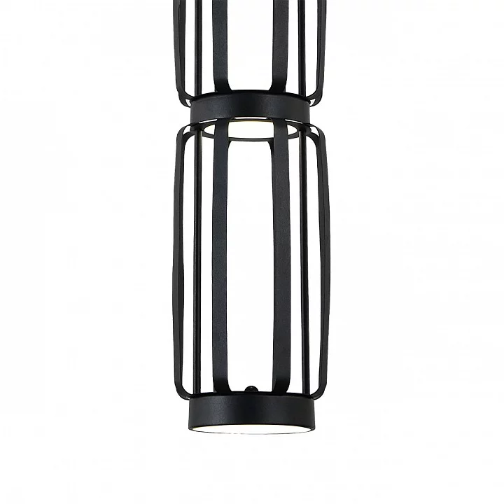Подвесной светильник Indigo Capsula 14027/4P Black 5_INDG_V000159L.webp big