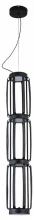 Подвесной светильник Indigo Capsula 14027/4P Black 1_INDG_V000159L.webp small
