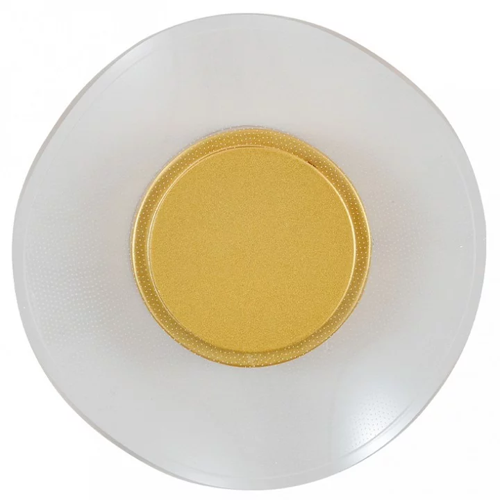Накладной светильник Indigo Veletta 14029/1W Gold 0_INDG_V000165L.webp big