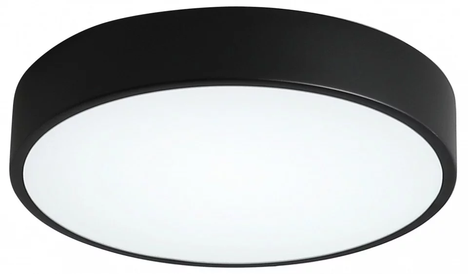 Накладной светильник Zortes Tortty ZRS.02563.48 0_ZRS_ZRS.02563.48.webp big