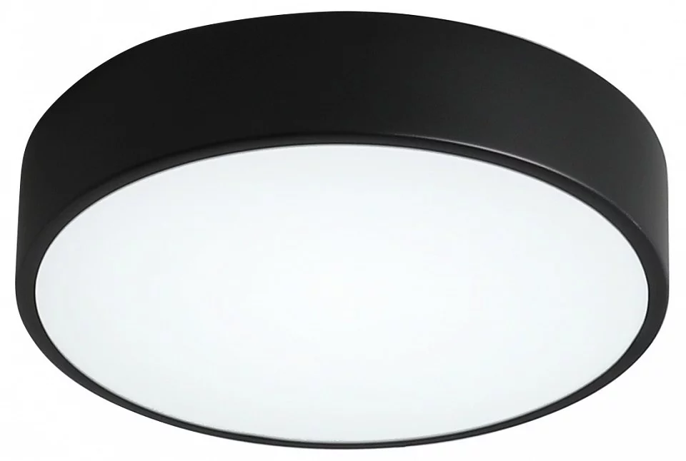Накладной светильник Zortes Tortty ZRS.02563.48 1_ZRS_ZRS.02563.48.webp big
