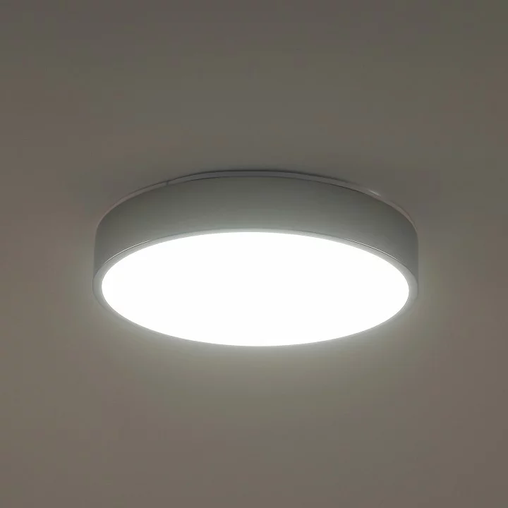 Накладной светильник Zortes Tortty ZRS.02565.36 2_ZRS_ZRS.02565.36.webp big