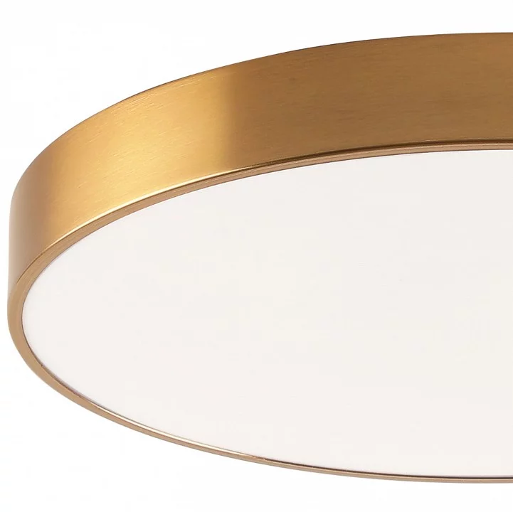 Накладной светильник Zortes Tortty ZRS.02566.96 1_ZRS_ZRS.02566.96.webp big