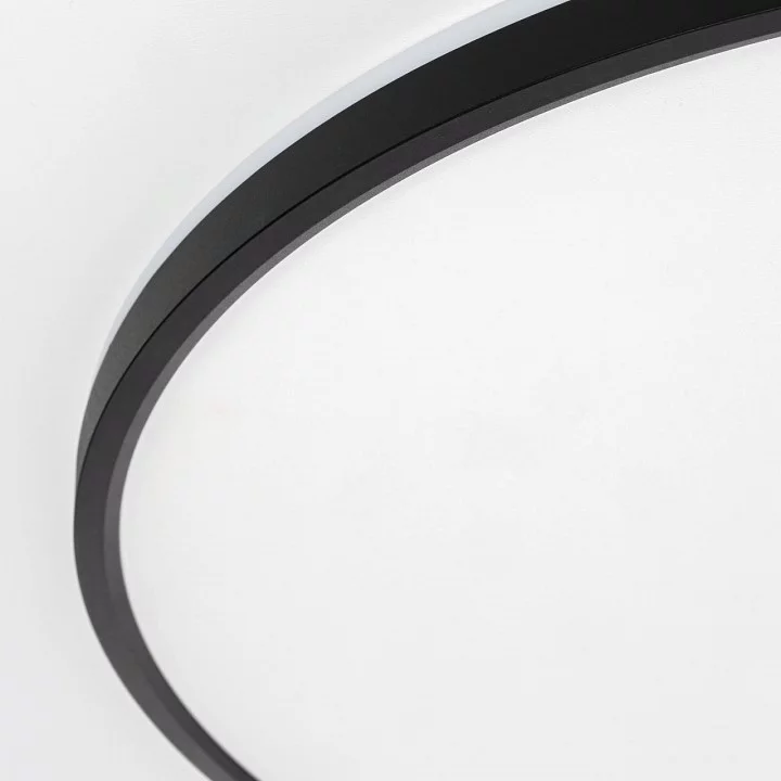 Накладной светильник Citilux Norma CL748601 12_CL748601.webp big