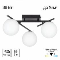 Потолочная люстра Citilux Dorsy CL223132 9_CL223132.webp small