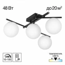 Потолочная люстра Citilux Dorsy CL223142 7_CL223142.webp small