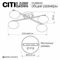 Потолочная люстра Citilux Atman Smart CL226A143 9_CL226A143.webp small