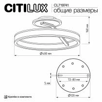 Светильник на штанге Citilux Дуэт CL719741 8_CL719741.webp small