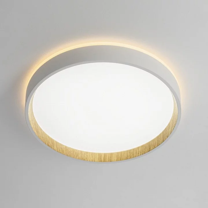 Накладной светильник Citilux Etalon CL750240 10_CL750240.webp big