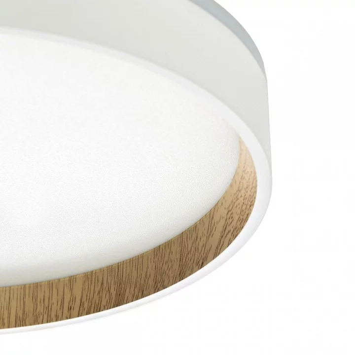 Накладной светильник Citilux Etalon CL750240 14_CL750240.webp big