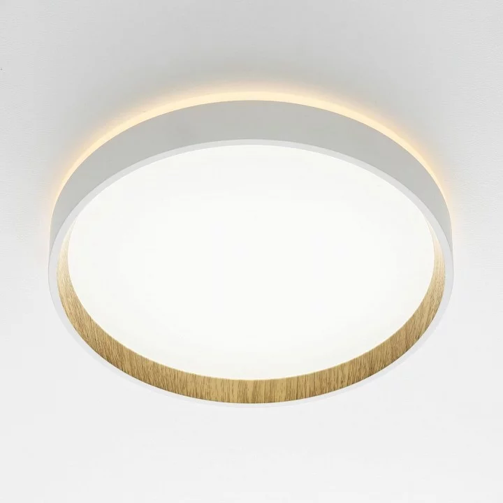 Накладной светильник Citilux Etalon CL750240 3_CL750240.webp big