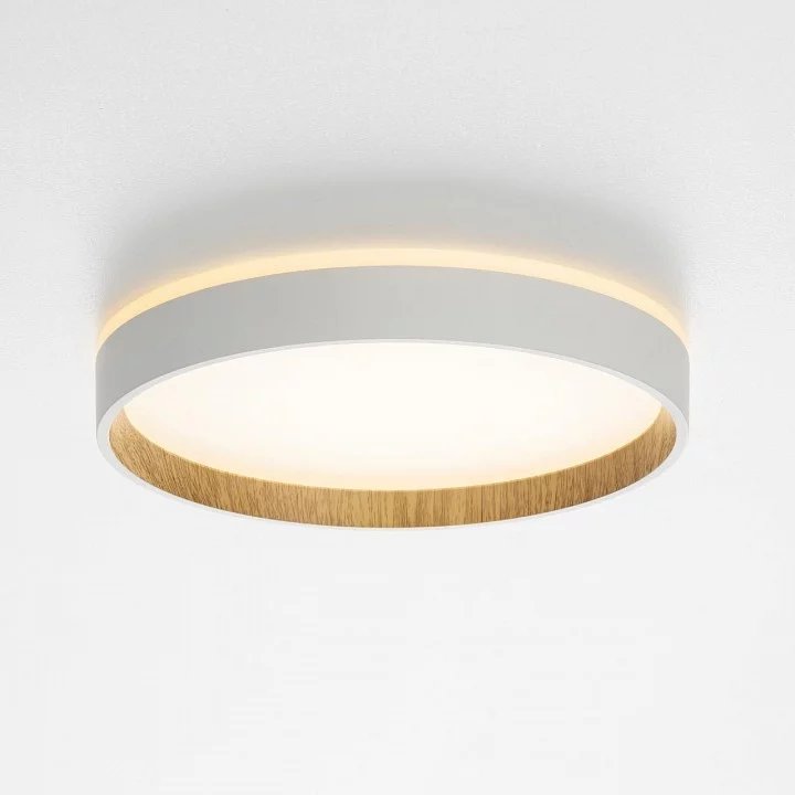 Накладной светильник Citilux Etalon CL750240 4_CL750240.webp big
