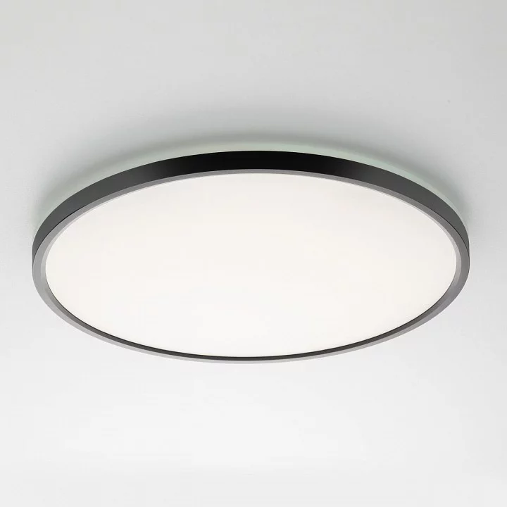 Накладной светильник Citilux NORMA CL749401 6_CL749401.webp big