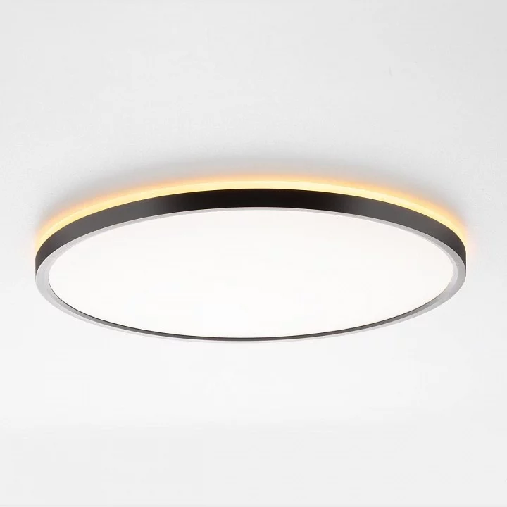 Накладной светильник Citilux NORMA CL749401 8_CL749401.webp big