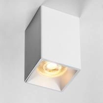 Накладной светильник Lightstar Rullo 213336 1_LS_213336.webp small