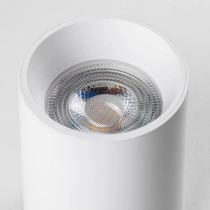 Накладной светильник Lightstar Rullo 213436 2_LS_213436.webp small