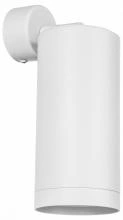 Спот Lightstar Rullo RB64863486