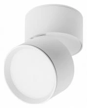 Накладной светильник Lightstar Acuto 215836 0_LS_215836.webp small