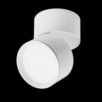 Накладной светильник Lightstar Acuto 215836 2_LS_215836.webp small