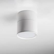 Накладной светильник Lightstar Acuto 215886 1_LS_215886.webp small