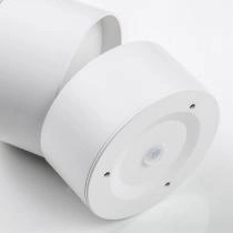 Накладной светильник Lightstar Acuto 215886 5_LS_215886.webp small