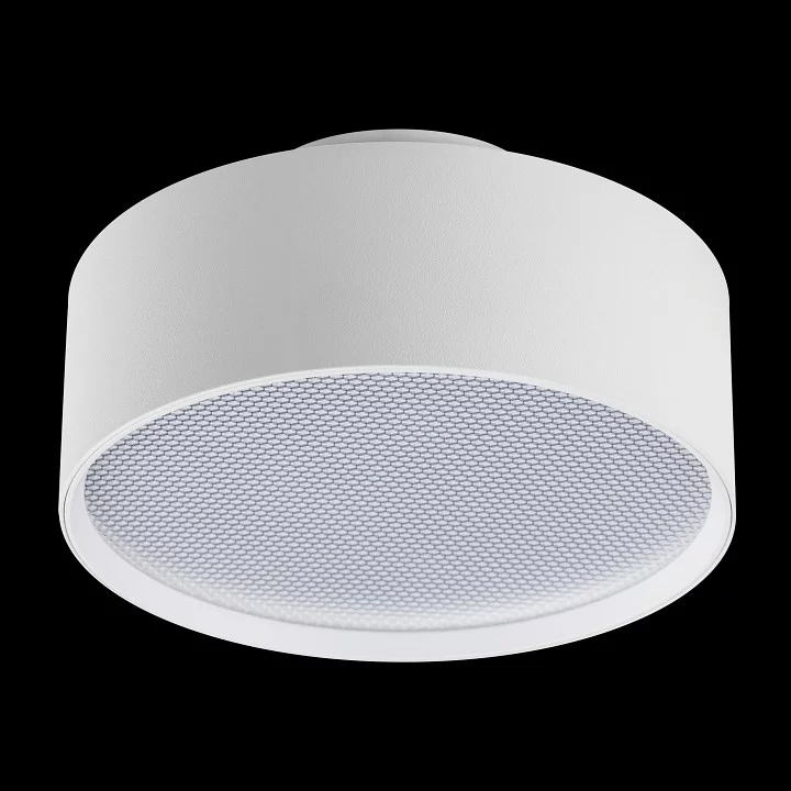 Накладной светильник Lightstar Acuto 215946 2_LS_215946.webp big