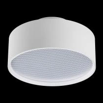 Накладной светильник Lightstar Acuto 215946 2_LS_215946.webp small