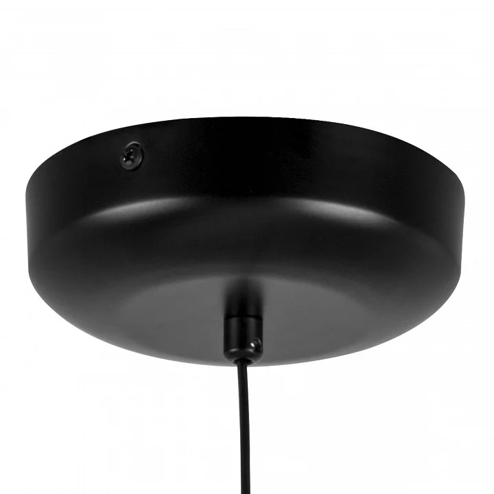 Подвесной светильник Lightstar Genova 610086 12_LS_610086.webp big